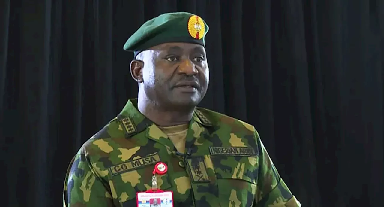 Defence Chief sympathises Borno residents as flood sacks over 200,000