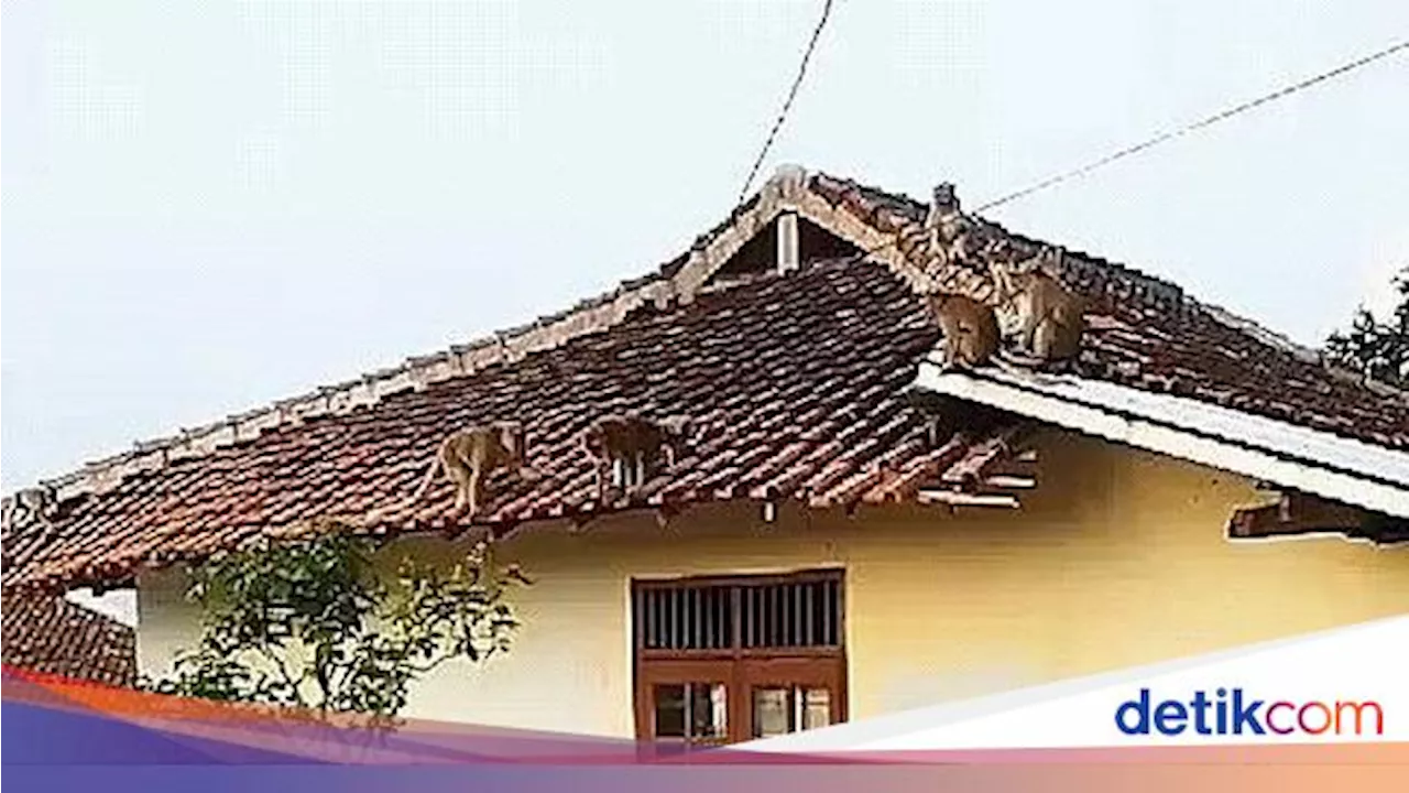 Dari Bocor hingga Genteng Hilang, Ini Sederet Permasalahan pada Atap Rumah