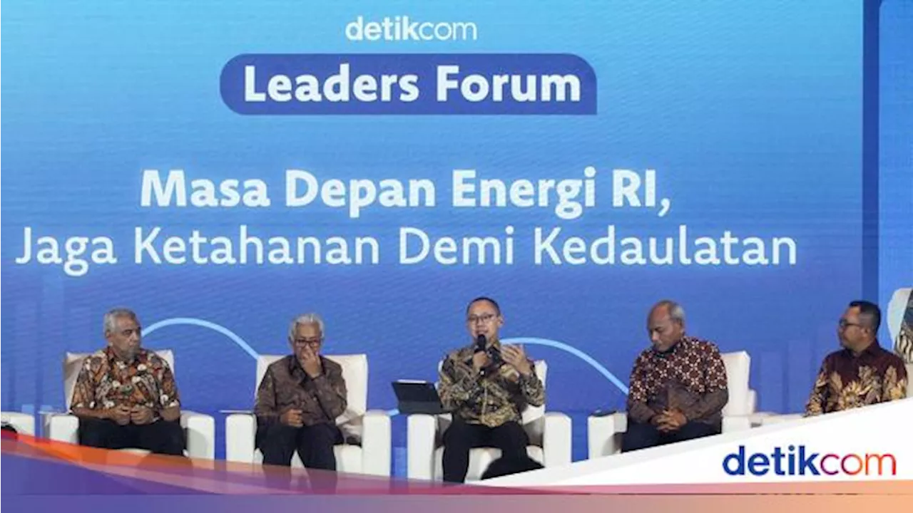 PHE Blak-blakan Lebih Banyak Temui Sumber Gas daripada Minyak