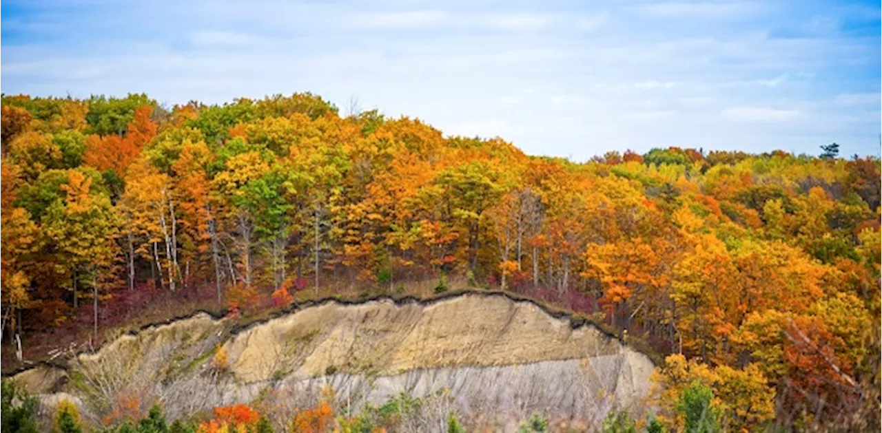 Most of Canada is predicted to have a warmer-than-normal fall: The Weather Network