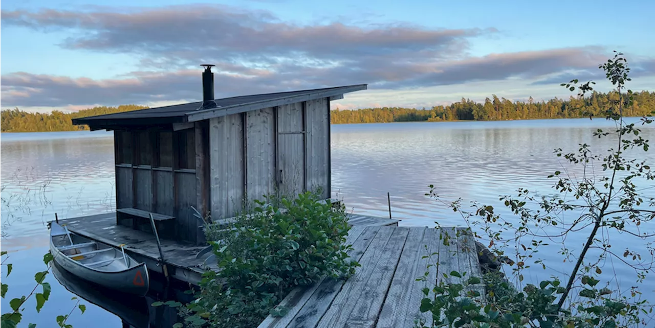 In a Deep, Dark Swedish Forest Lies a Very Comfortable Utopia