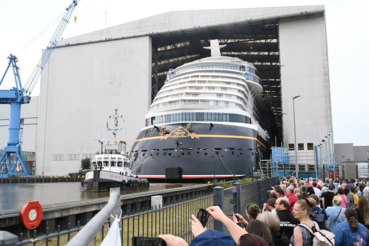 Warum der Staat die Meyer Werft rettet