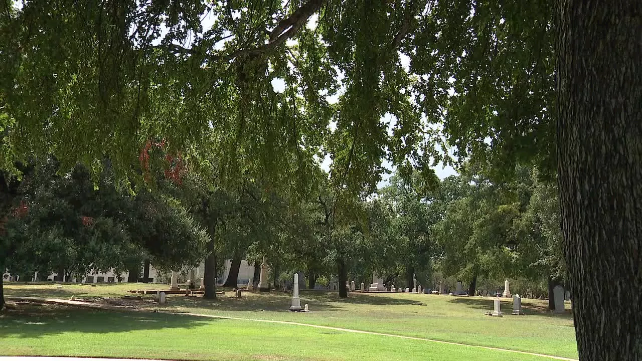 Dallas City Council approves contract to count city's trees, despite concerns over $6M price tag