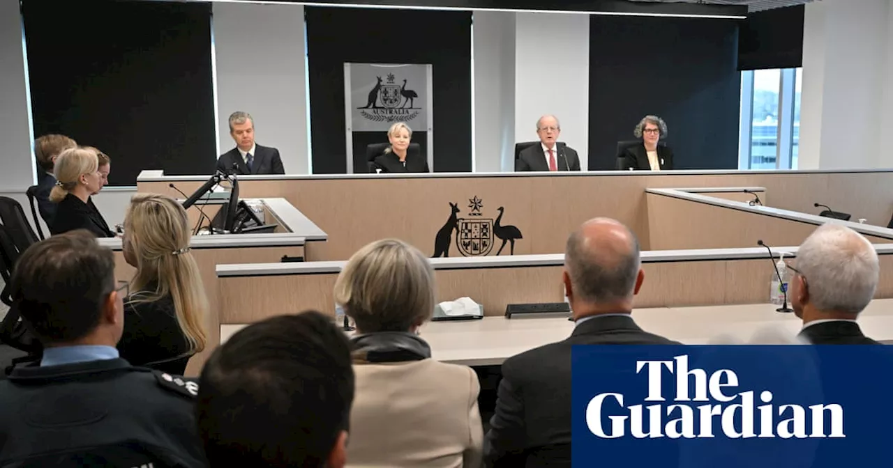 Federal corruption watchdog looking into allegations against at least six parliamentarians