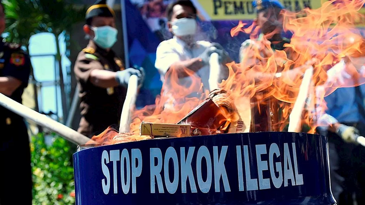 Kompas Brief: Mengapa Rokok Ilegal Merajalela?