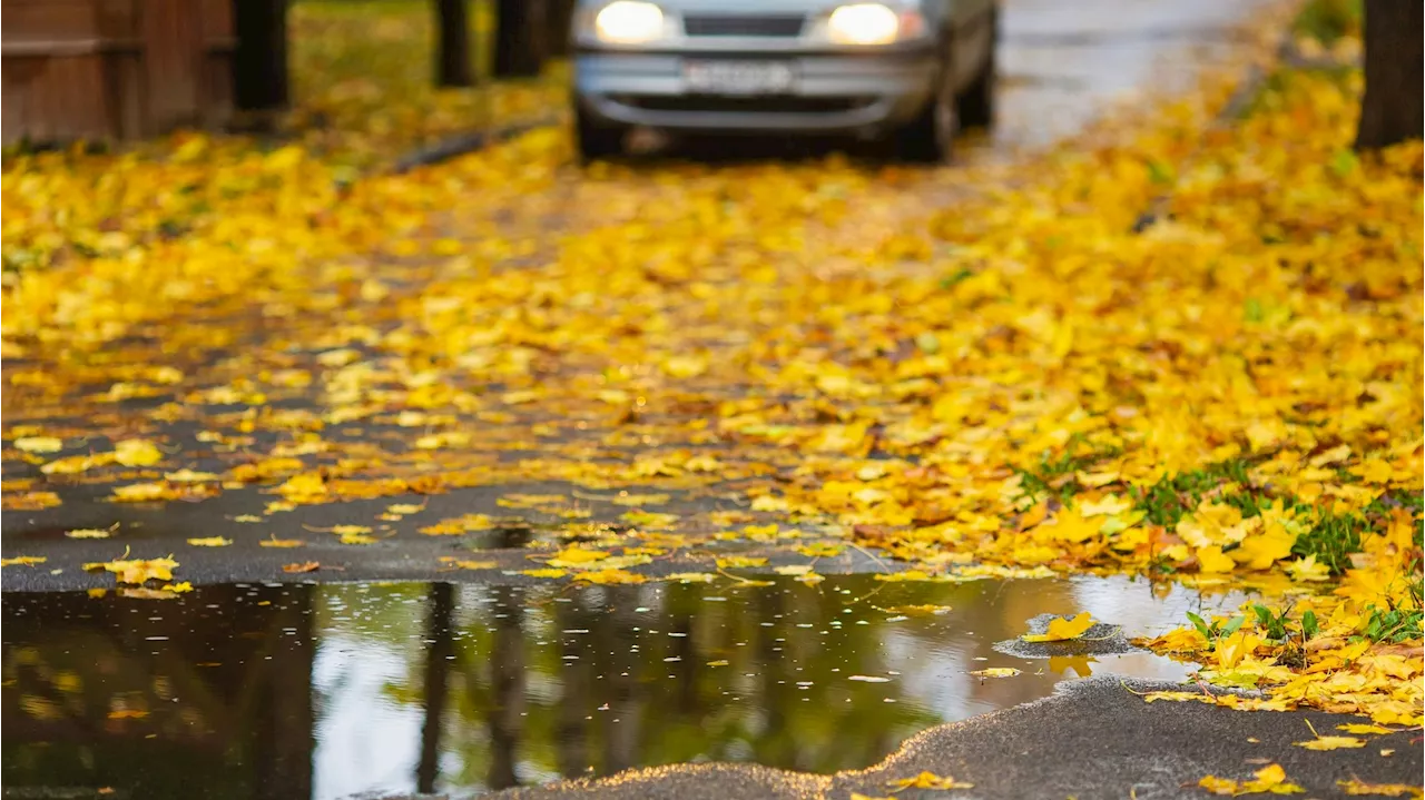 'Spätsommer-Glatteis' – diese Gefahr lauert auf Straßen