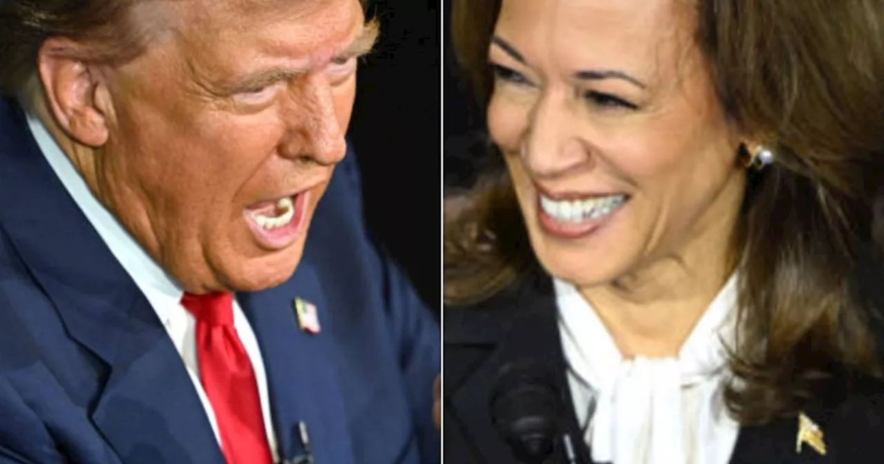 Report Reveals Very Different Ways Trump And Harris Spent Commercial Breaks In Debate