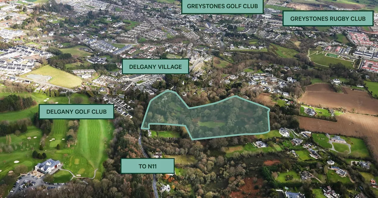 Receiver seeking €4.75m for Johnny Ronan’s Delgany lands