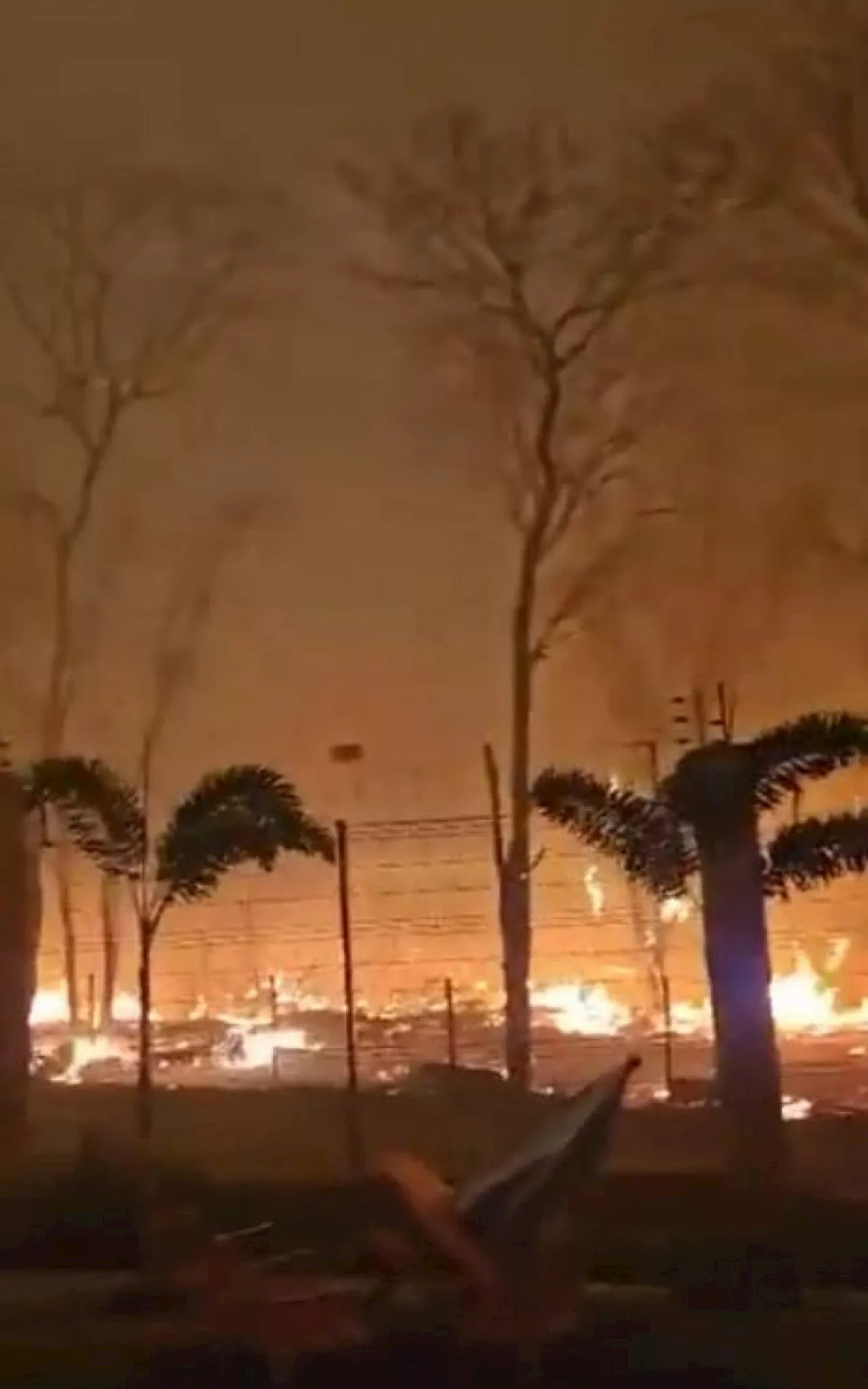 Risco elevado para incêndios em SP é ampliado até sábado, com temperaturas de até 39ºC