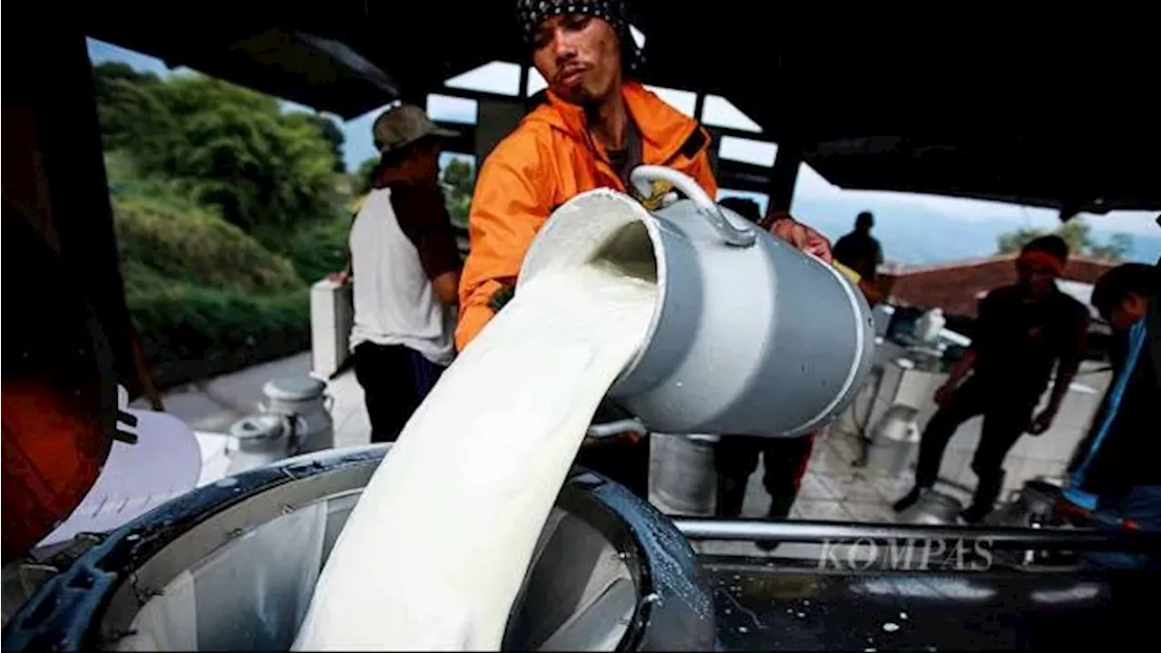 Bagus Mana, Kandungan Susu Ikan, Susu Nabati, atau Susu Hewani?