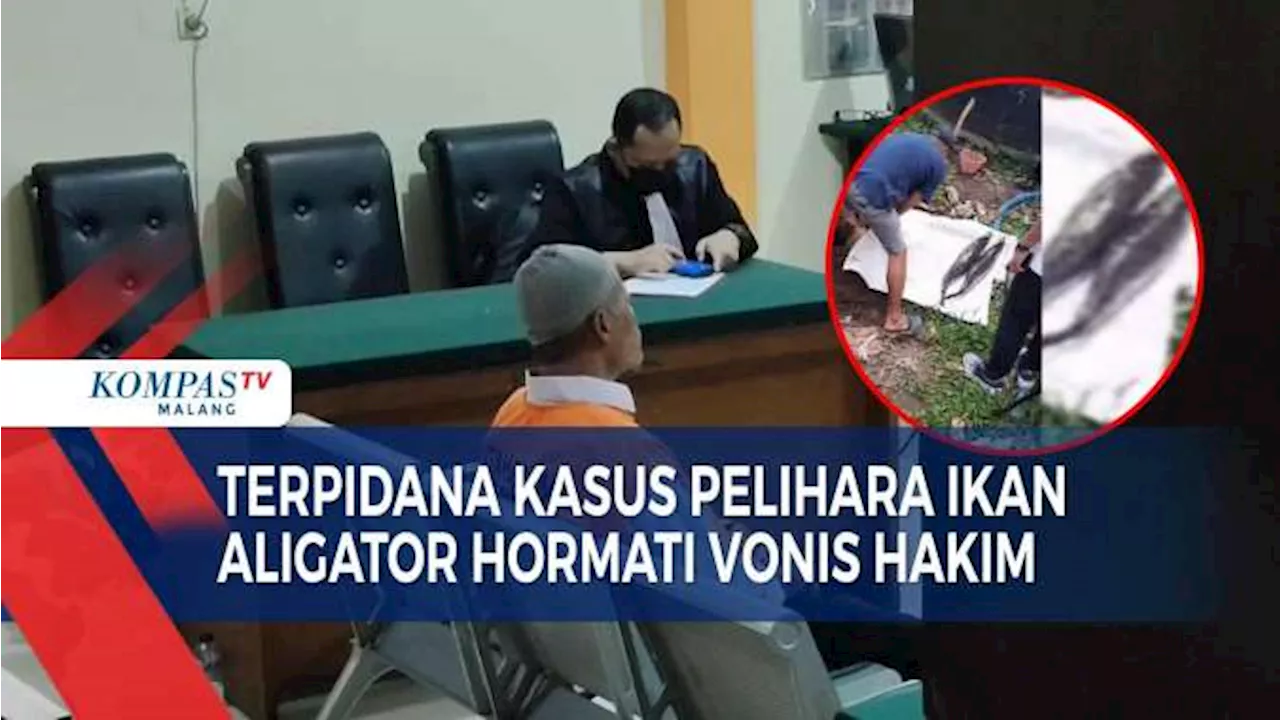 Meski Kecewa Keluarga Terpidana Kasus Pelihara Ikan Aligator Terima Putusan Hakim