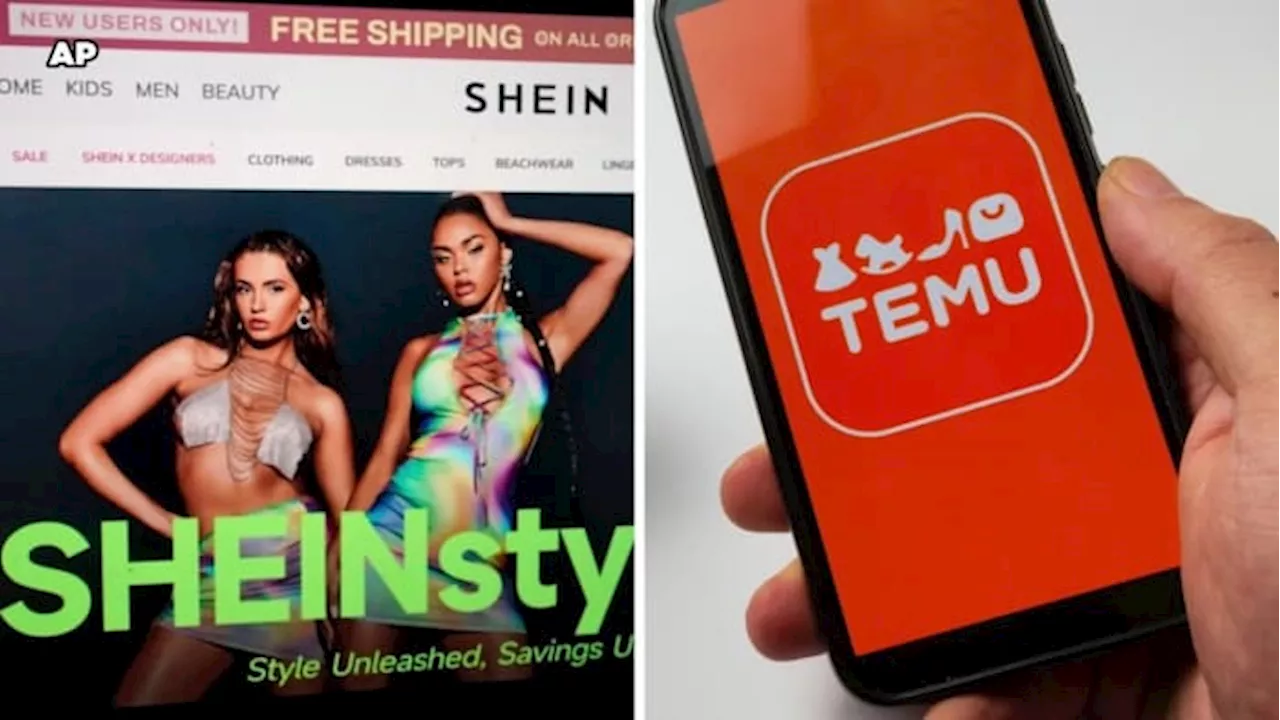 Consumer Product Safety Commissioners call for Shein, Temu to be investigated over safety concerns