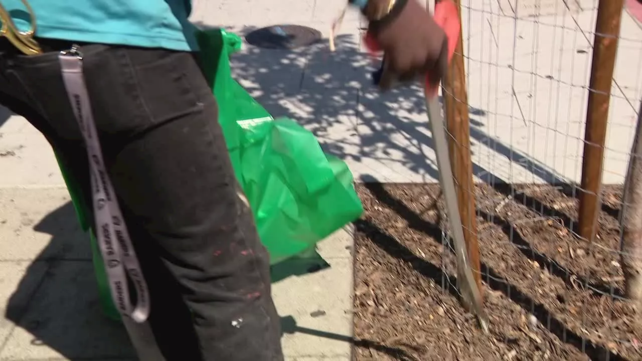 San Jose clean-up program expands