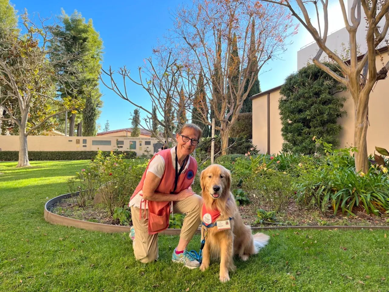 Beacon, the beloved therapy dog of USA Gymnastics, is recovering from an unknown illness