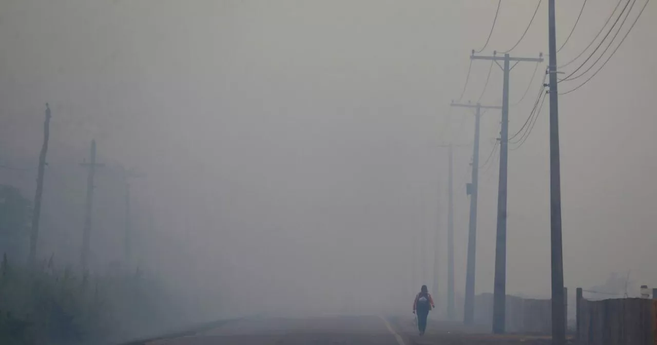 Brazil's Lula pledges to finish paving road that experts say could worsen Amazon deforestation