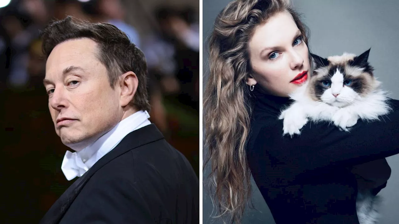 Elon Musk slammed for 'disgusting and disturbing' tweet about Taylor Swift following Kamala Harris endorsement