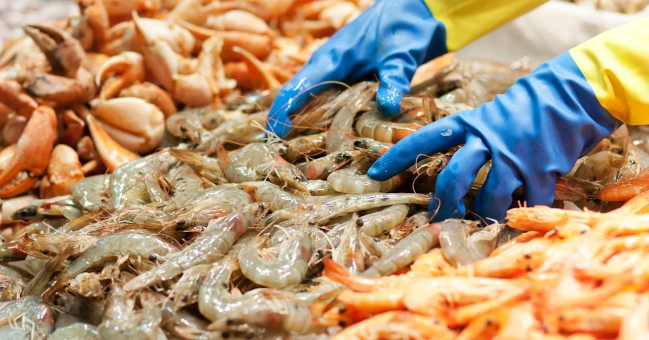 Rappel de crevettes et gambas vendues chez Intermarché et Auchan et contenant une bactérie «mangeuse de chair»