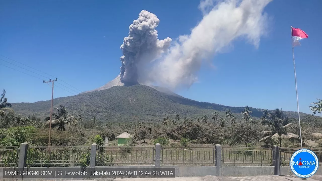 Gunung Lewotobi Laki-Laki Masih Bergejolak, Baru Saja Semburkan Abu Vulkanik 800 Meter