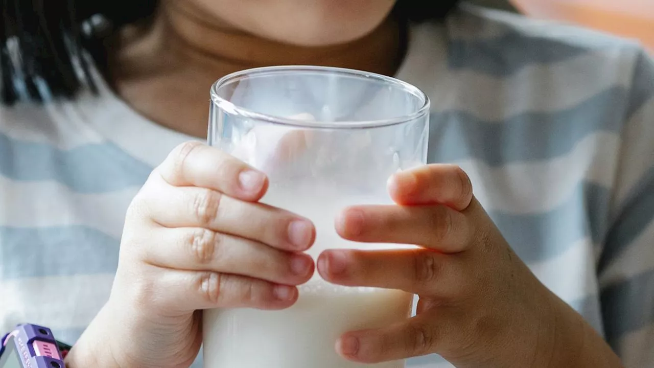 Perbedaan Susu Ikan dan Susu Sapi: Manakah yang Lebih Baik untuk Kesehatan Anda?