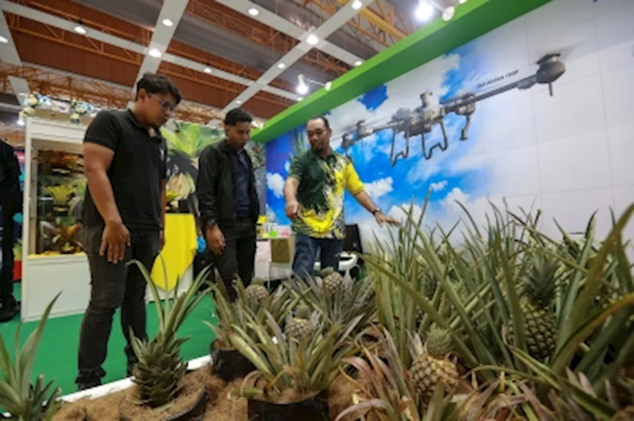 Turning pineapple waste into eco-friendly, sustainable fashion and crafts a highlight at Maha 2024