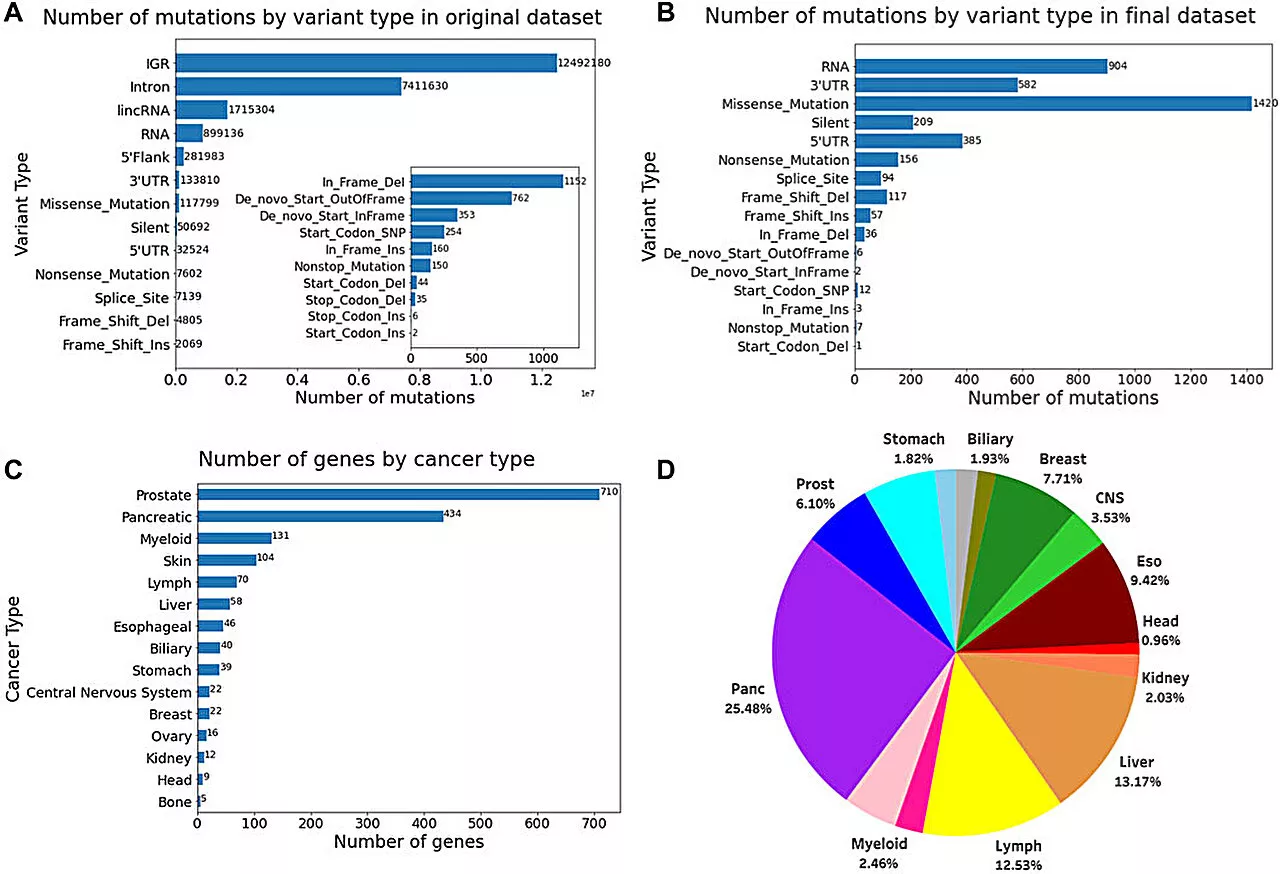 A novel network computer model to find co-occurring mutations—researchers improve search for cancer drivers