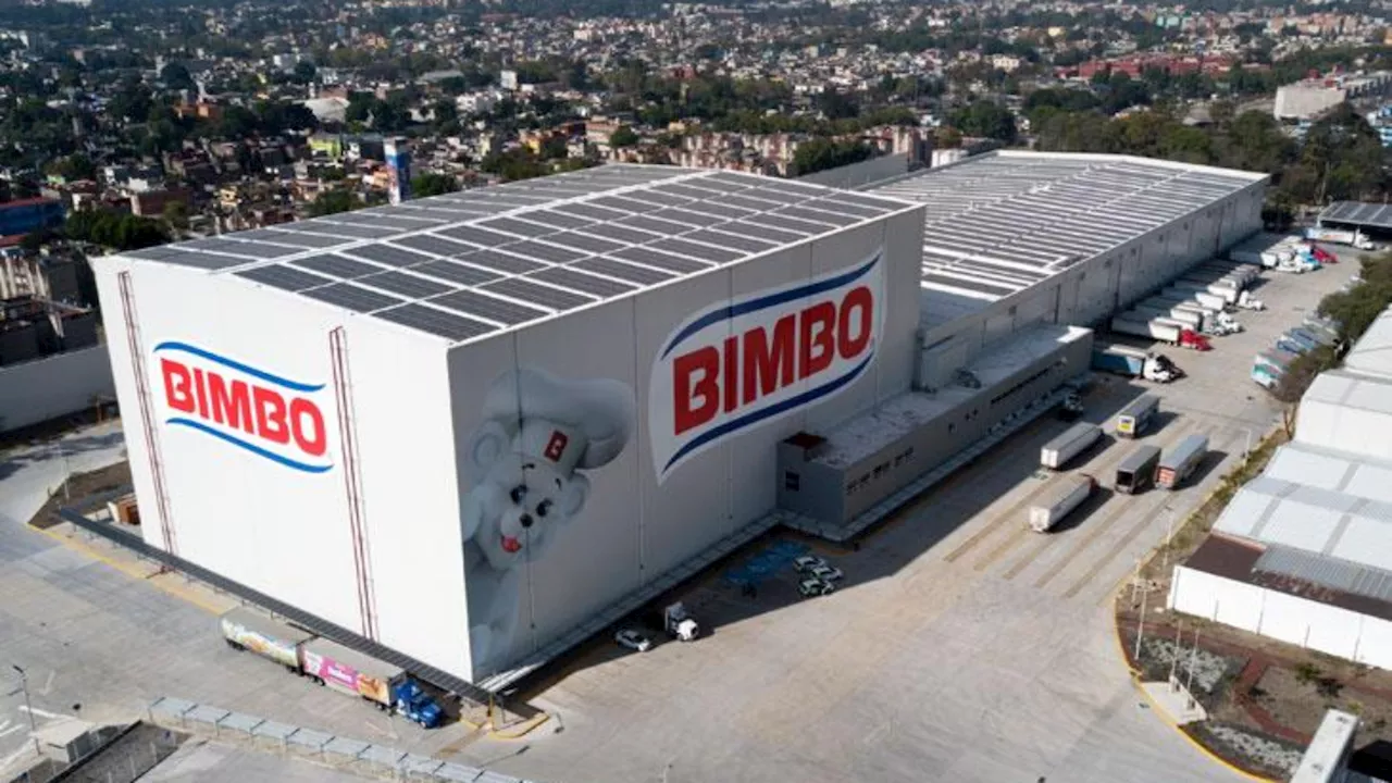 Grupo Bimbo apuesta por el cuidado del planeta y entra en el grupo de “Sustainability Leaders 2024”