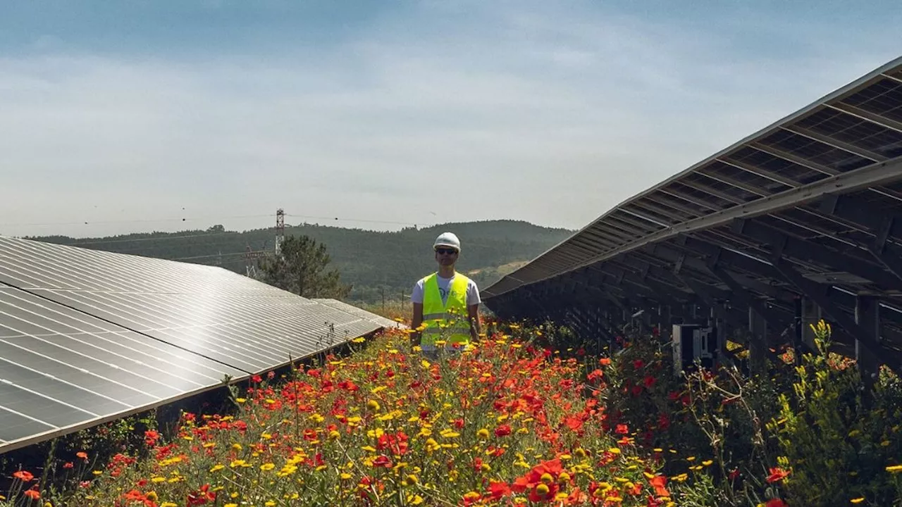 EDP impulsa su apuesta por la energía solar en su nueva campaña «Cree en el sol»