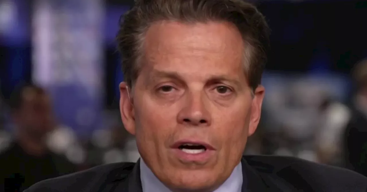 ‘He only cares about himself’: Anthony Scaramucci on why former Trump officials are backing Harris