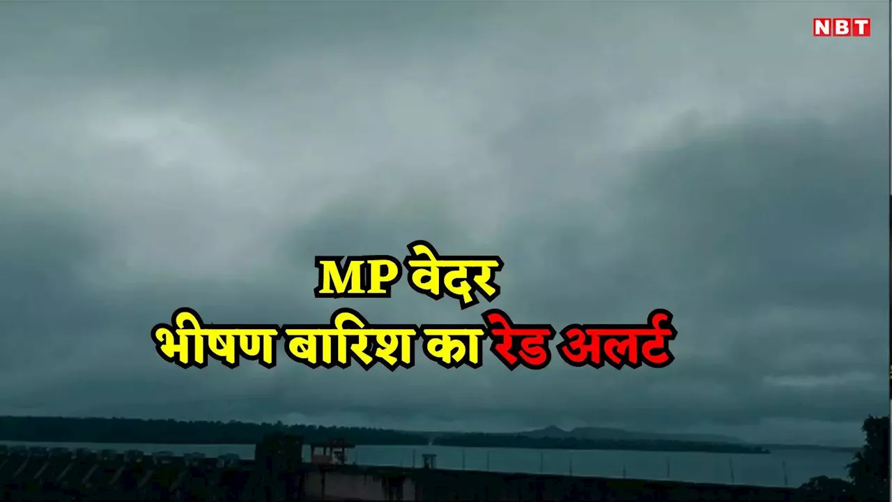 MP Ka Mansoon: मूसलाधार बारिश बनी आफत! घर डूबे, सड़कों से शहरों का संपर्क टूटा, अब IMD ने इन जिलों के लिए दिया रेड अलर्ट