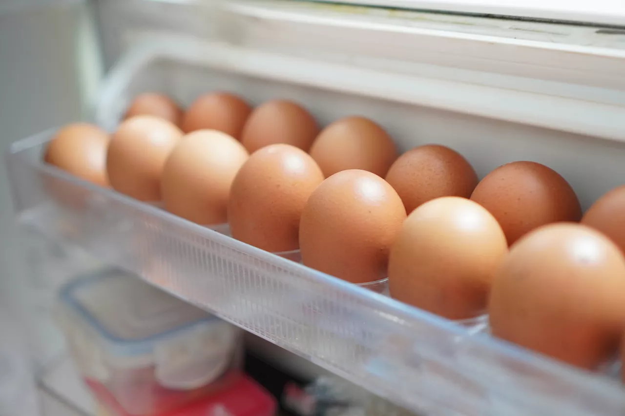 Egg recall: What to know as salmonella outbreak sickens dozens, several in Illinois