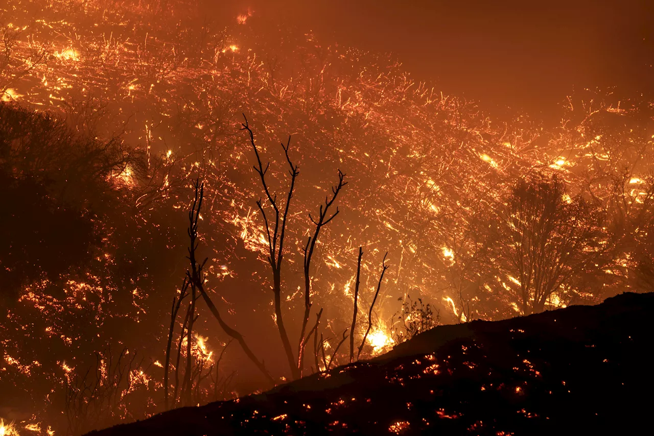 California Wildfires Seen From Space as Flames Explode to 105,000 Acres