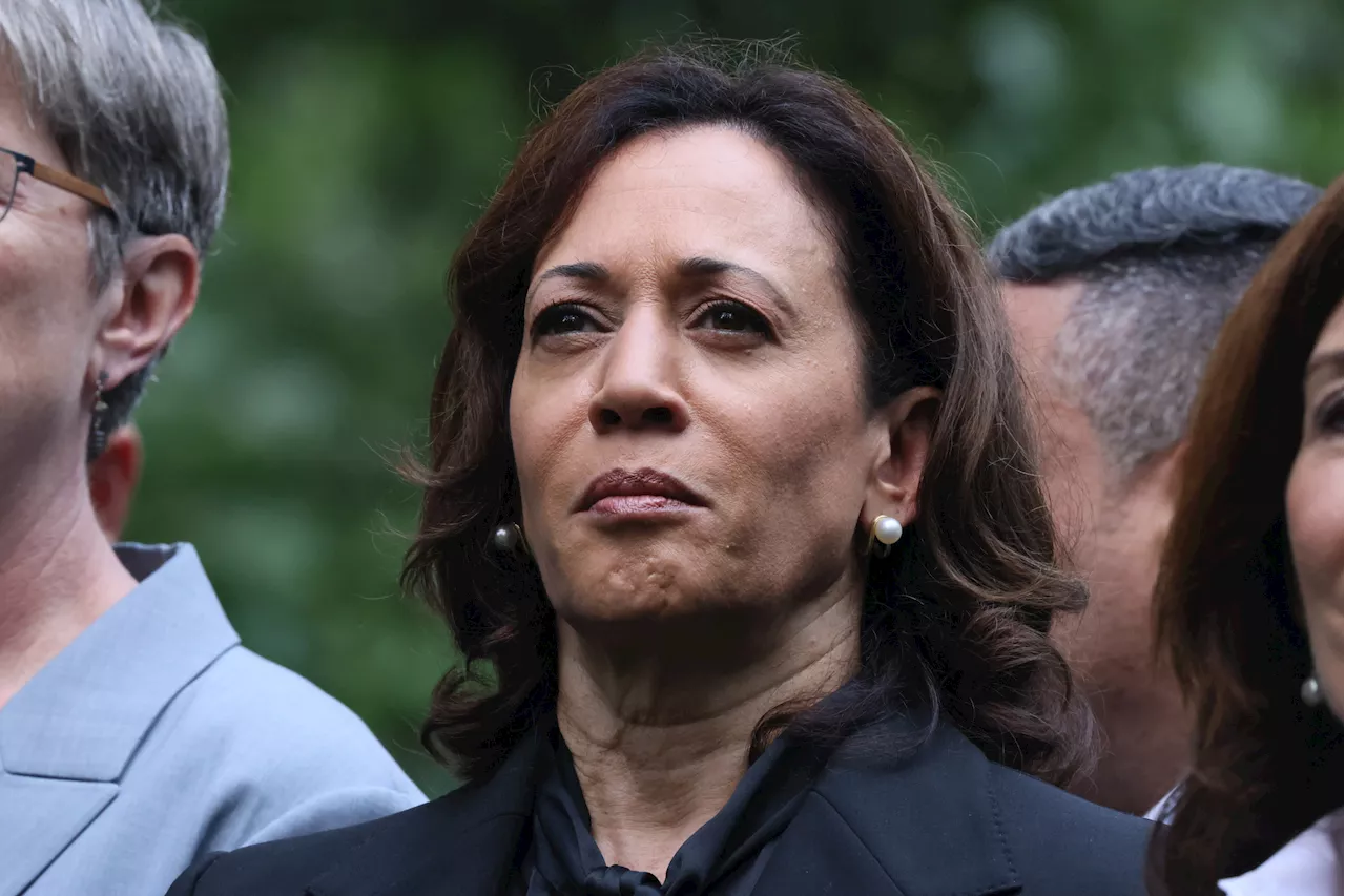 Everything Kamala Harris Has Said About 9/11