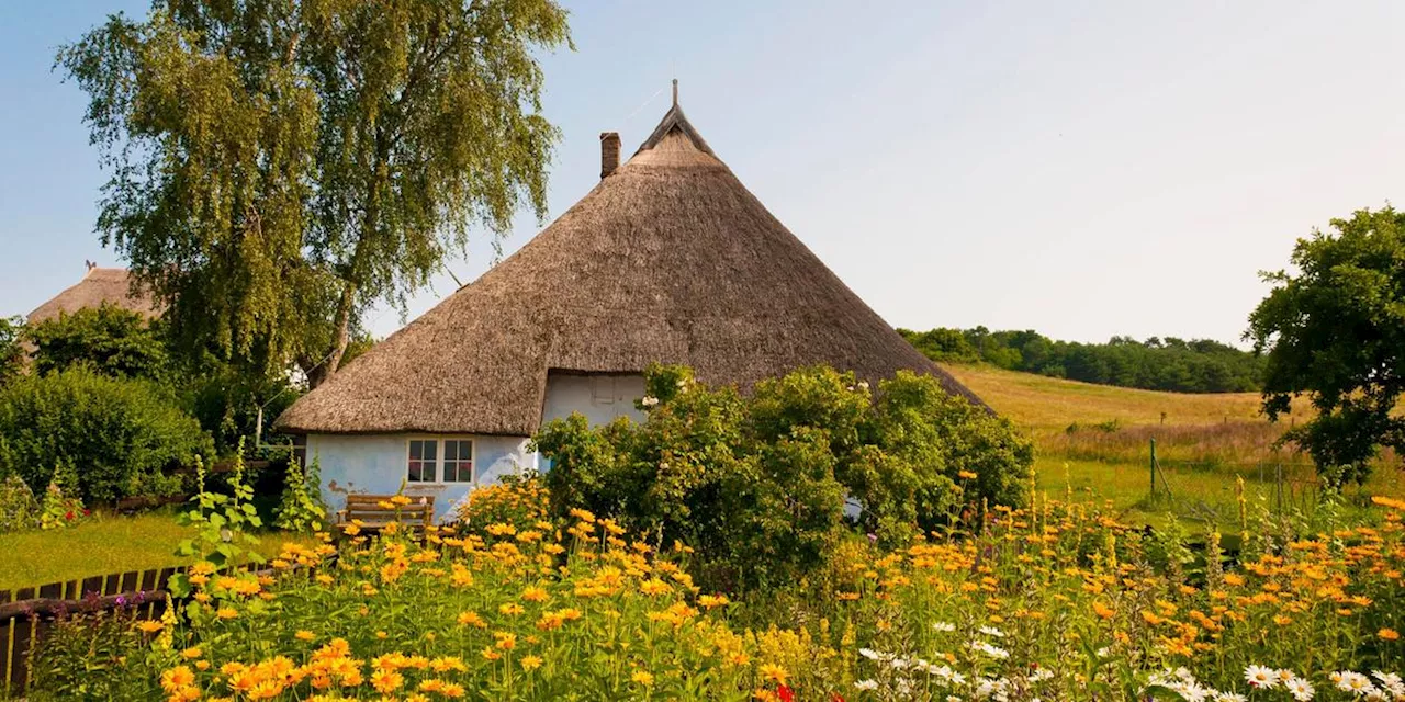 Wildblumenwiese anlegen: Tipps &amp; Tricks f&uuml;r Heimg&auml;rtner