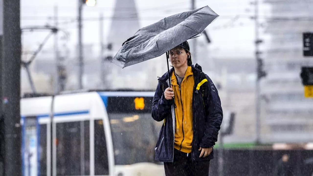 Heel veel regen verwacht: 'Gelijk aan gemiddelde heel september'