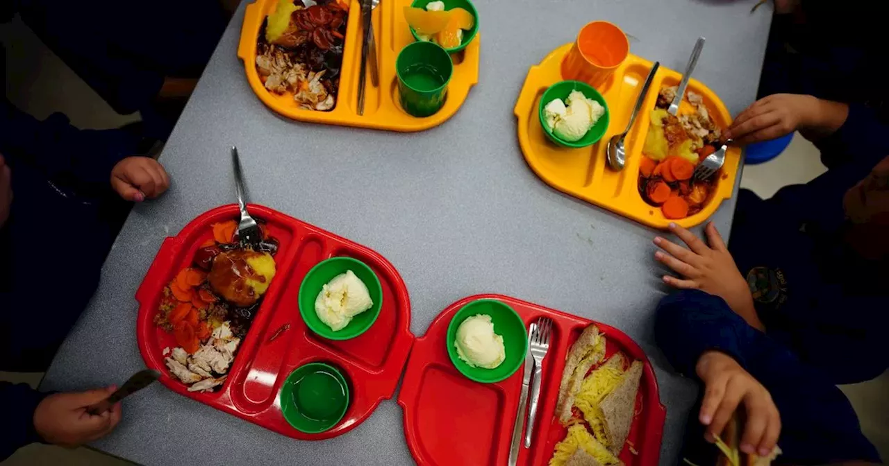 Major change to Nottinghamshire school meals announced as council issues update