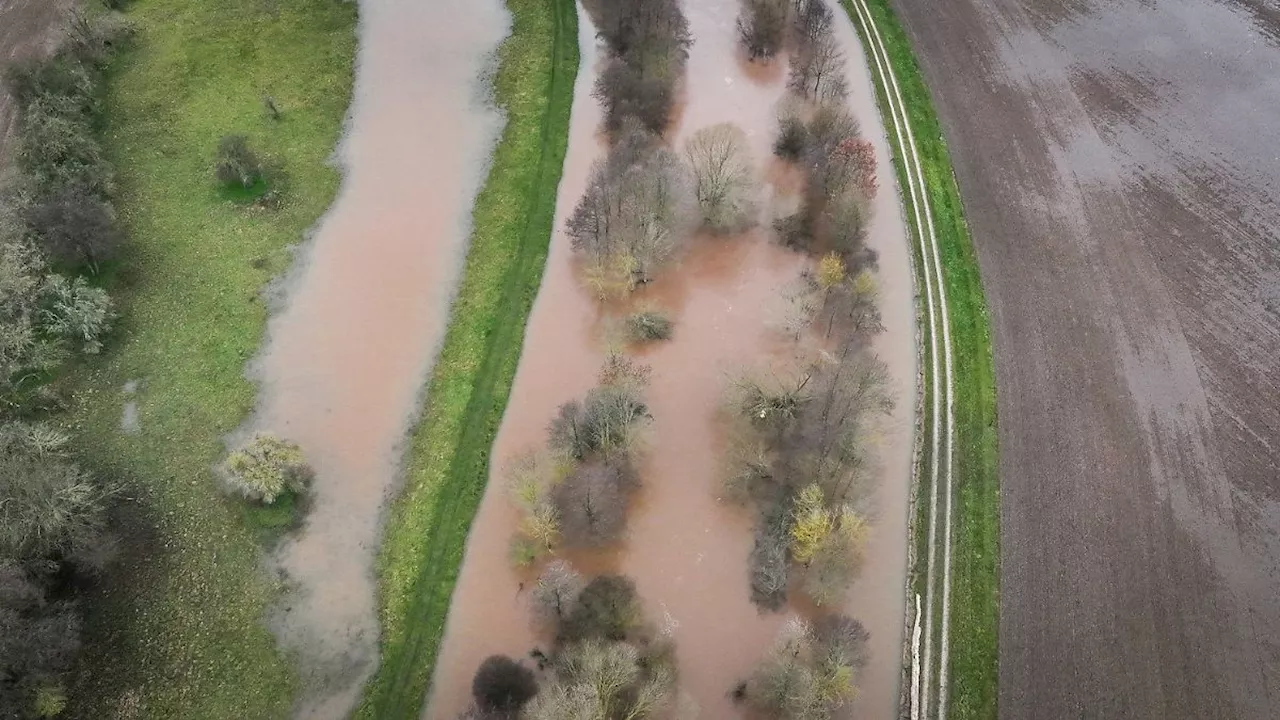 Studie: Hochwasser bleibt für Hunderttausende eine stetige Bedrohung - Rhein und Elbe besonders betroffen