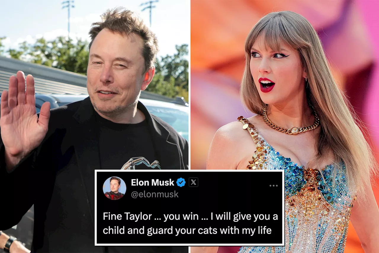 Elon Musk offers to give 'childless cat lady' Taylor Swift a baby in bizarre post after pop star endorsed Harris