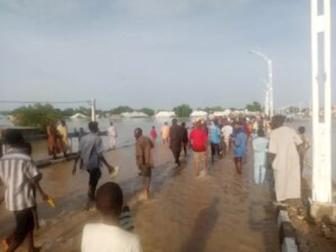 Maiduguri Flood: Many residents return home as water recedes