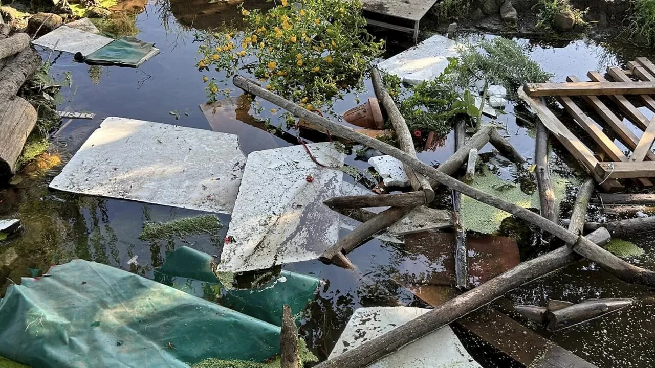 Parco degli Acquedotti, distrutto il Giardino delle Farfalle: “Ennesimo atto d’inciviltà”