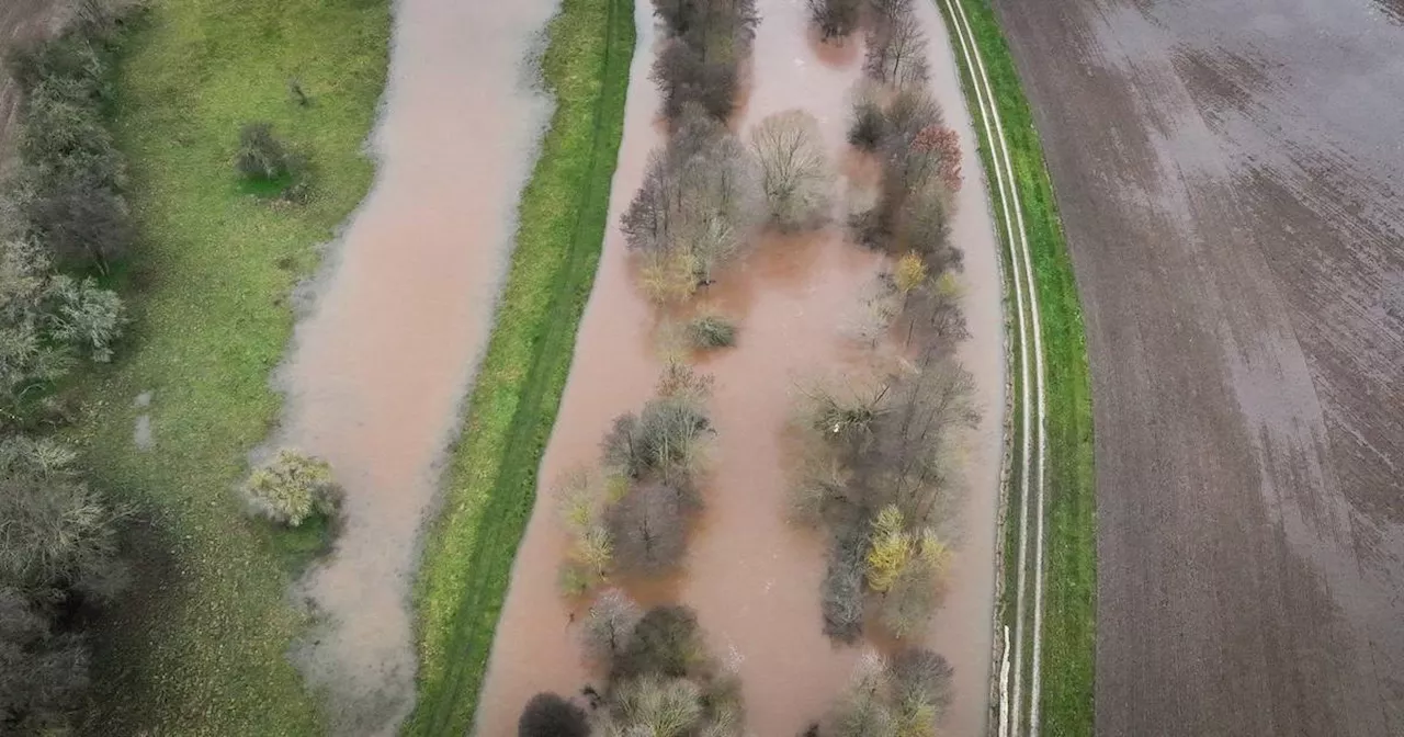 Studie: Fast 400.000 Deutsche von Hochwasser bedroht