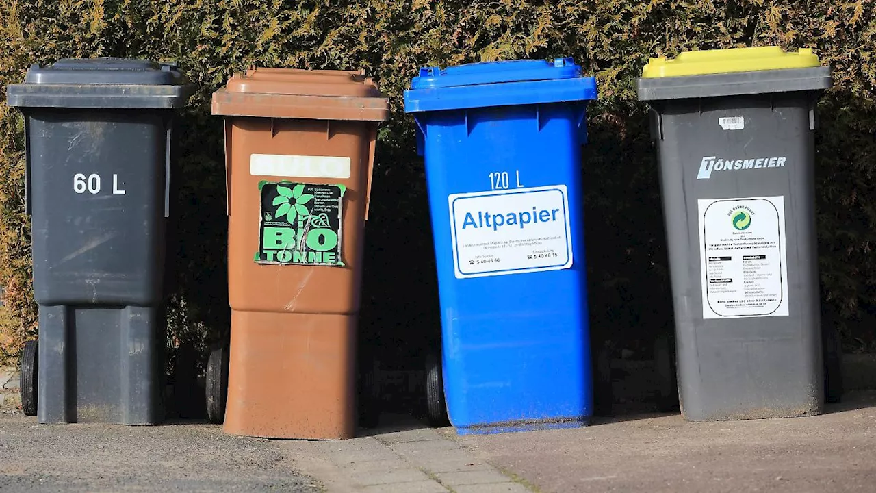 Diese Städte verlangen die höchsten Müllgebühren