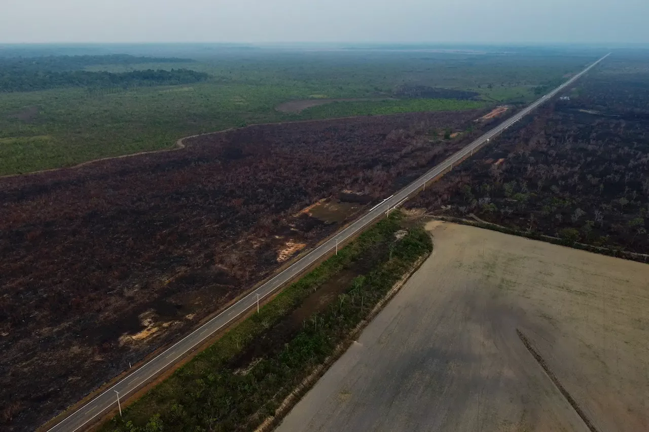 Lula da Silva anuncia conclusão de estrada polémica que atravessa a Amazónia