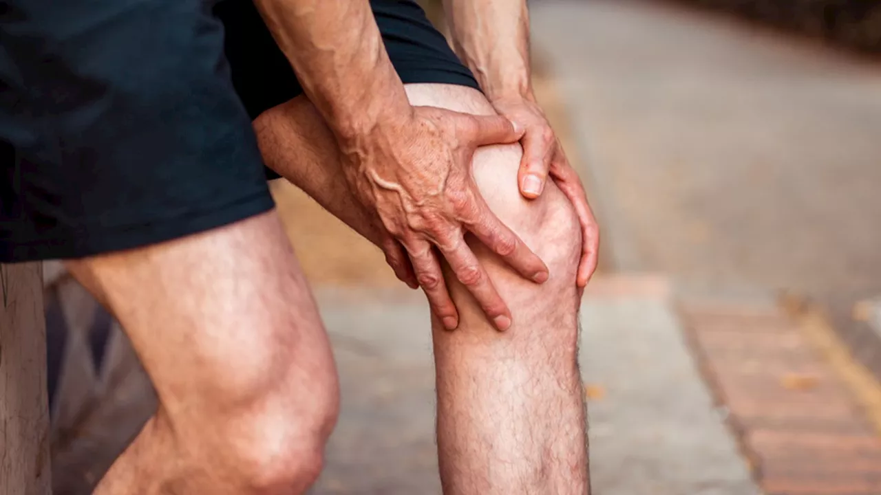 Tiny knee bone linked to arthritis may have helped humans walk upright, scientists suggest