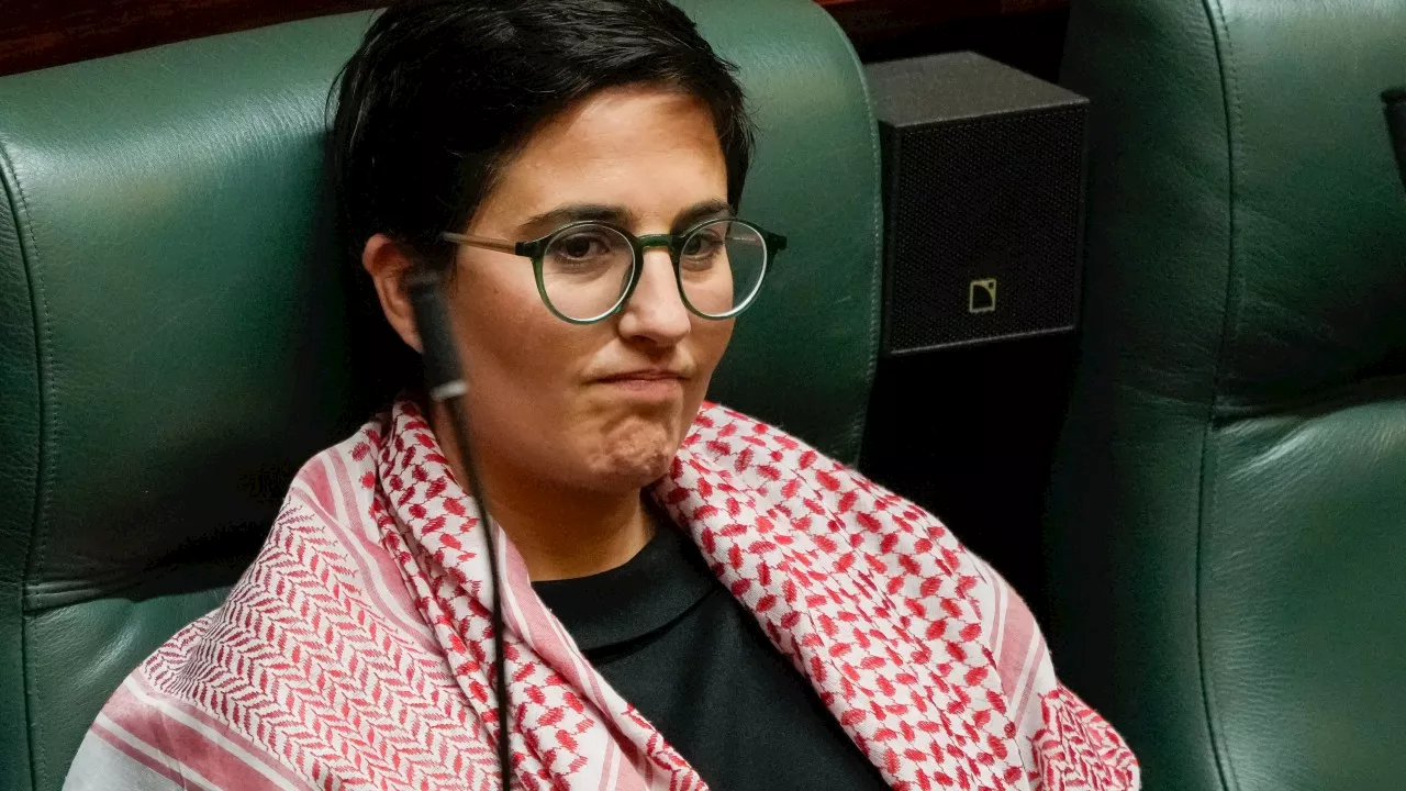 ‘She should hand back the keys to her office’: Greens MP condemned for protest attendance