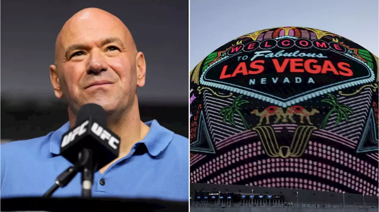 Dana White announces insane cash prize for UFC viewers at sphere show if they spot hidden detail