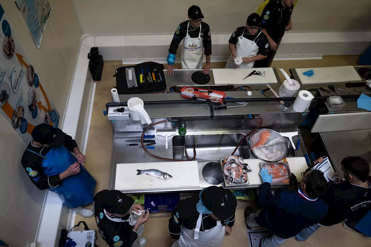 Charente-Maritime : 17 candidats pour être l’un des meilleurs apprentis écaillers et poissonniers de France