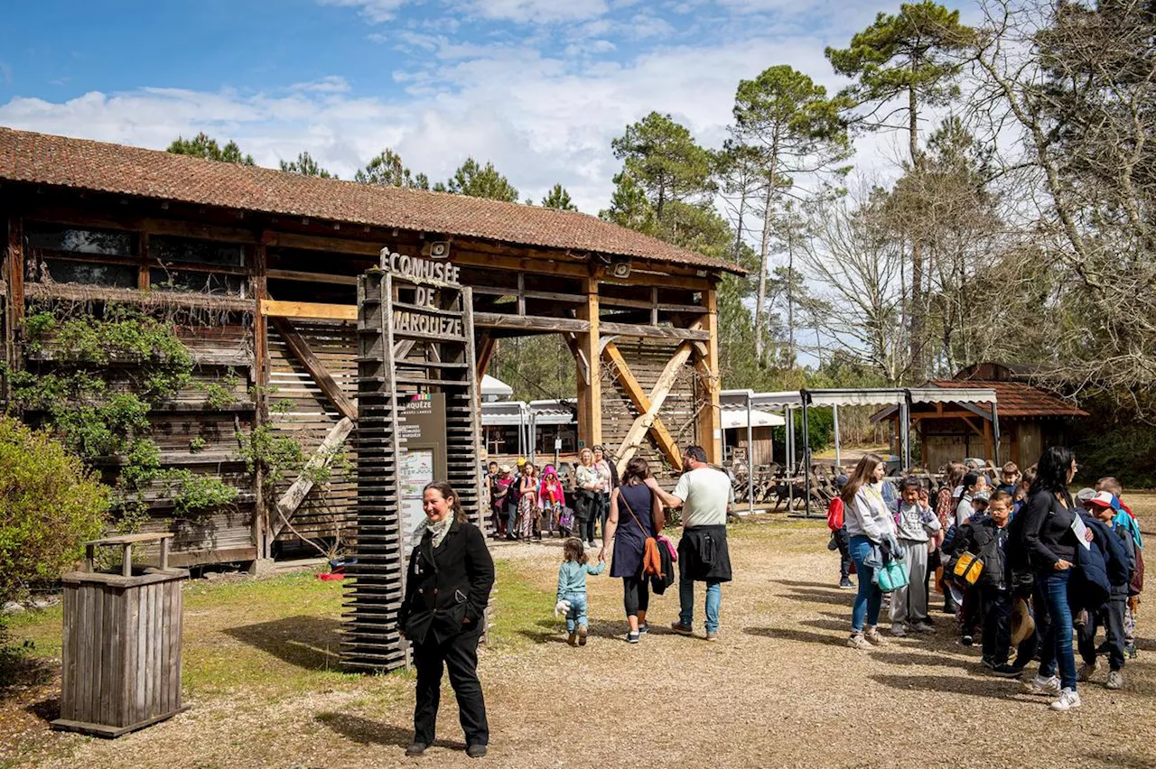 Météo, JO, législatives… Quel bilan pour le tourisme cet été dans les Landes ?