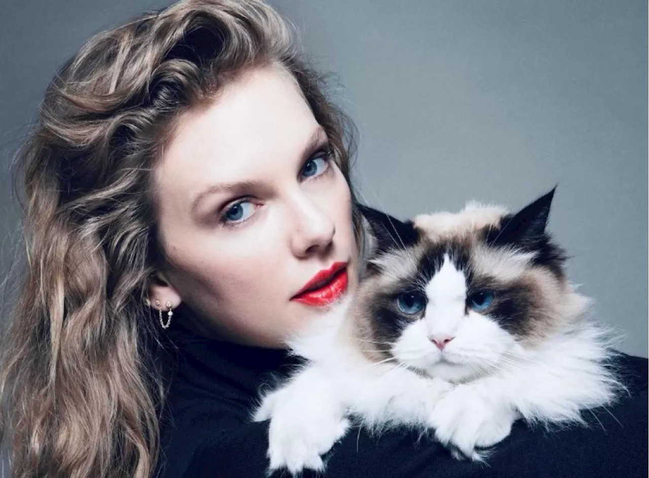 Pilpres AS, Taylor Swift Nyatakan Dukungan untuk Kamala Harris