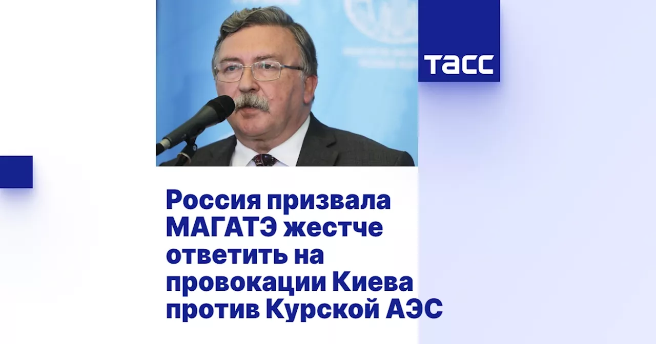 Россия призвала МАГАТЭ жестче ответить на провокации Киева против Курской АЭС