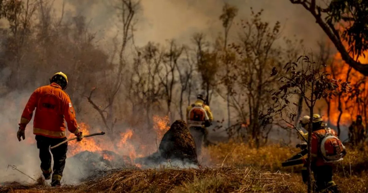 Além da bituca de cigarro: saiba quais materiais podem causar incêndios acidentais